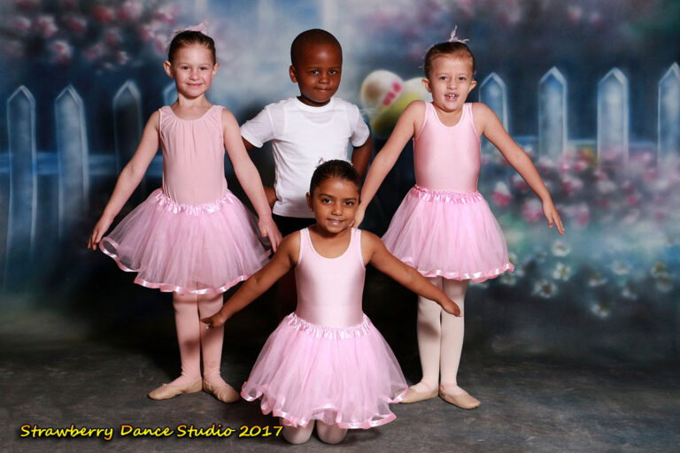 DASA Exams 2017